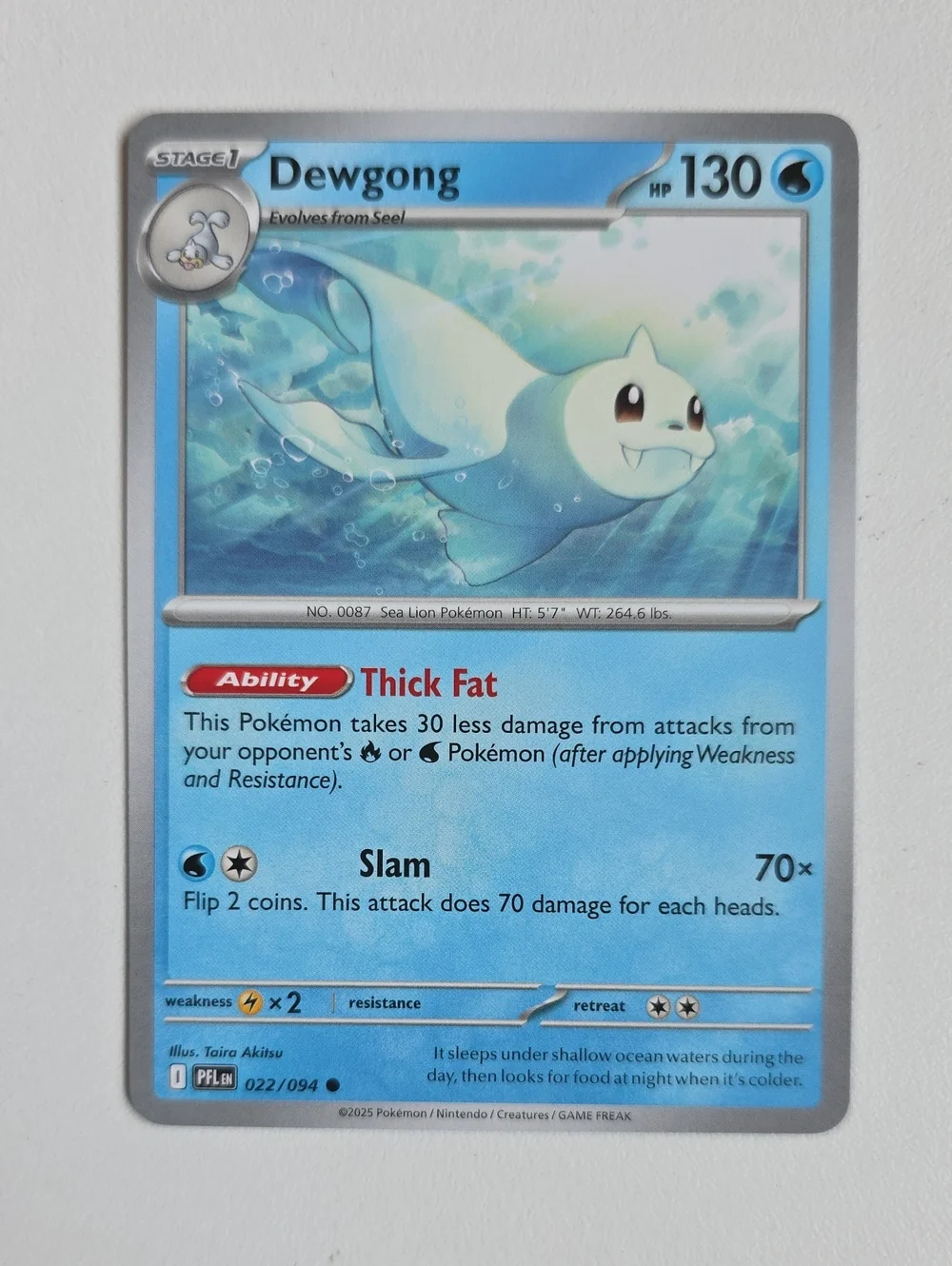 Pokemon Seel And Dewgong Trading Card